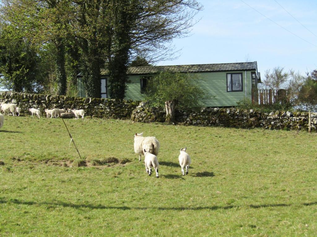 Barnkirk Holidays room 1